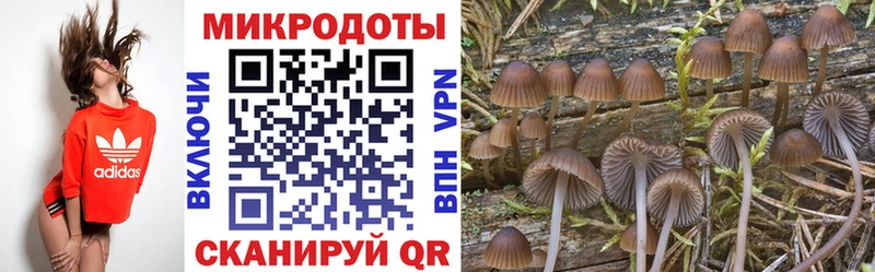 гидра ссылка  Грязи  Псилоцибиновые грибы ЛСД 