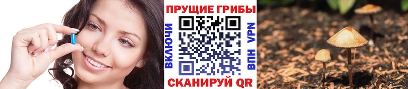 Галлюциногенные грибы мухоморы Грязи